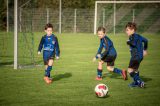 W.I.K. '57 JO8-1 - S.K.N.W.K. JO8-1 (competitie) seizoen 2019-2020 (najaar) (13/57)